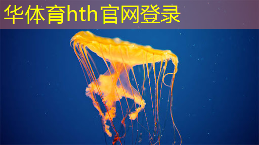游戏王3d投影召唤中
