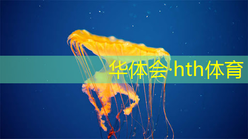 华体育hth官网登录：三国游戏3d对战攻略大全