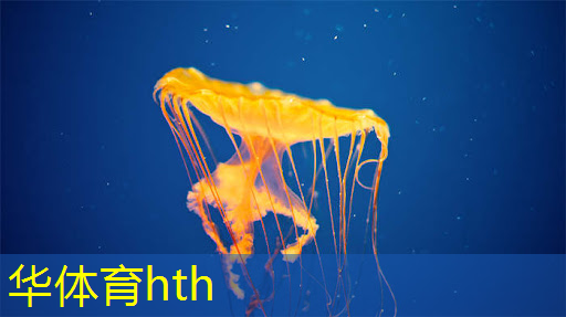华体会·(hth)体育：微信小程序游戏找乌龟