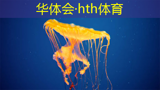 HTH华体会登录入口：僵尸大战3d游戏怎么玩