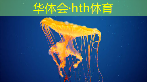 游戏王3d投影召唤中