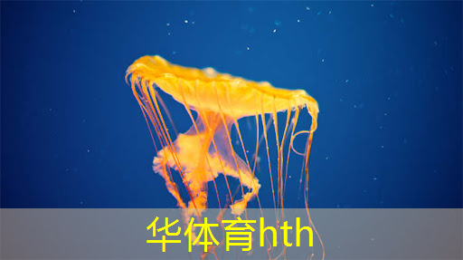 早期经典3d单机游戏有哪些